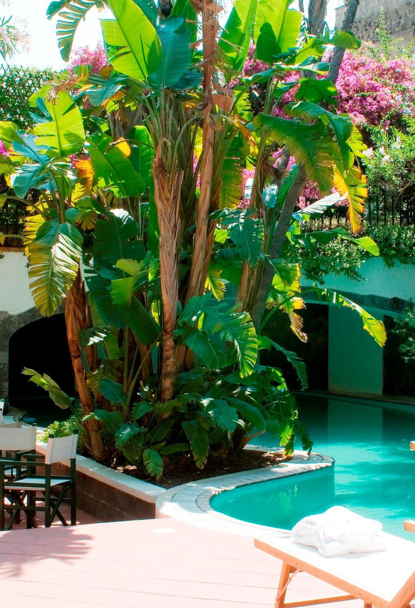 Hotel La Villarosa Terme Isquia Exterior foto